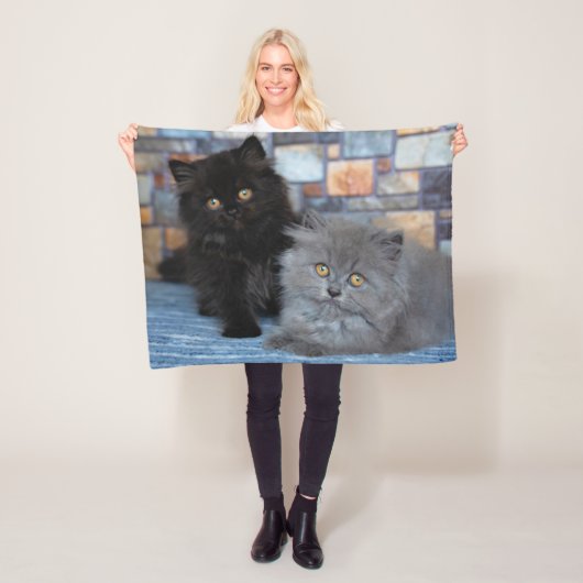 Niedliche Kleintiere | Persische Kätzchen auf der Fleecedecke (Beispiel)