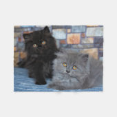 Niedliche Kleintiere | Persische Kätzchen auf der Fleecedecke (Vorderseite (Horizontal))