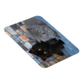 Niedliche Kleintiere | Persische Kätzchen auf der Magnet (Rechte Seite)