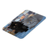 Niedliche Kleintiere | Persische Kätzchen auf der  Magnet (Linke Seite)