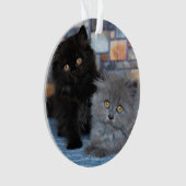 Niedliche Kleintiere | Persische Kätzchen auf der  Ornament (Vorderseite)