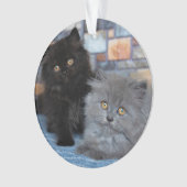 Niedliche Kleintiere | Persische Kätzchen auf der Ornament (Vorderseite)