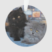 Niedliche Kleintiere | Persische Kätzchen auf der Ornament (Vorderseite)