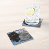 Niedliche Kleintiere | Persische Kätzchen auf der Rechteckiger Pappuntersetzer (Vor Ort)