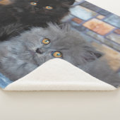 Niedliche Kleintiere | Persische Kätzchen auf der Sherpadecke (3/4)