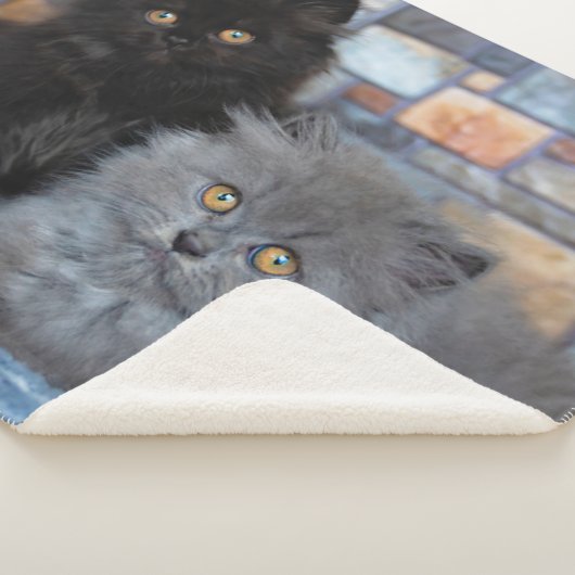 Niedliche Kleintiere | Persische Kätzchen auf der  Sherpadecke (3/4)