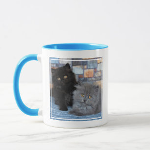 Niedliche Kleintiere Persische Kätzchen auf der Tasse