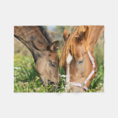 Niedliche Kleintiere | Pferdekälte Fleecedecke (Vorderseite (Horizontal))