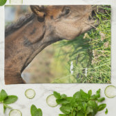 Niedliche Kleintiere | Pferdekälte Geschirrtuch (Gefaltet)