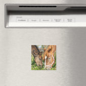 Niedliche Kleintiere | Pferdekälte Magnet (In Situ (Geschirrspüler))