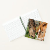 Niedliche Kleintiere | Pferdekälte Notizblock (Innenseite)