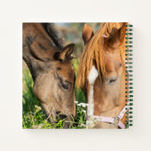 Niedliche Kleintiere | Pferdekälte Notizblock (Rückseite)