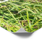 Niedliche Kleintiere | Pferdekälte Poster (Ecke)