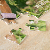 Niedliche Kleintiere | Pferdekälte Puzzle (Seite)