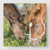 Niedliche Kleintiere | Pferdekälte Quadratische Wanduhr (Vorderseite)