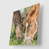 Niedliche Kleintiere | Pferdekälte Quadratische Wanduhr (Winkel)