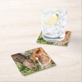 Niedliche Kleintiere | Pferdekälte Rechteckiger Pappuntersetzer (Vor Ort)