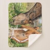 Niedliche Kleintiere | Pferdekälte Sherpadecke (Vorderseite)