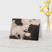 Niedliche Kleintiere | Pile von Welpen Karte (Gelbe Blume)