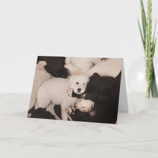 Niedliche Kleintiere | Pile von Welpen Karte (Vorderseite)