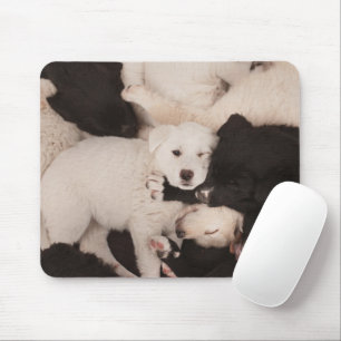 Niedliche Kleintiere Pile von Welpen Mousepad