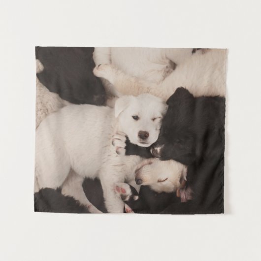 Niedliche Kleintiere | Pile von Welpen Wandteppich (Vorderseite (Horizontal))