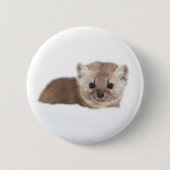 Niedliche Kleintiere | Pine Marten Button (Vorderseite)