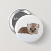 Niedliche Kleintiere | Pine Marten Button (Vorne & Hinten)