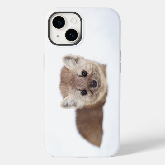 Niedliche Kleintiere | Pine Marten Case-Mate iPhone Hülle (Rückseite)
