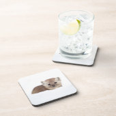 Niedliche Kleintiere | Pine Marten Getränkeuntersetzer (Rechte Seite)