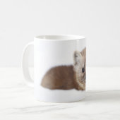 Niedliche Kleintiere | Pine Marten Kaffeetasse (Vorderseite Links)