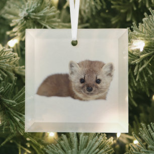 Niedliche Kleintiere   Pine Marten Ornament Aus Glas
