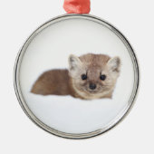 Niedliche Kleintiere | Pine Marten Ornament Aus Metall (Vorne)