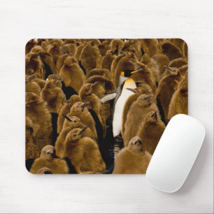 Niedliche Kleintiere   Pinguin unter Jugendlichen Mousepad