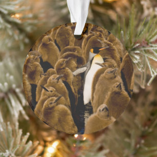 Niedliche Kleintiere   Pinguin unter Jugendlichen Ornament