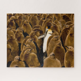 Niedliche Kleintiere   Pinguin unter Jugendlichen Puzzle