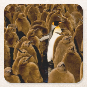 Niedliche Kleintiere Pinguin unter Jugendlichen Rechteckiger Pappuntersetzer