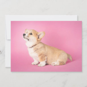 Niedliche Kleintiere Pink Corgi Puppy Dankeskarte