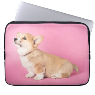 Niedliche Kleintiere   Pink Corgi Puppy Laptopschutzhülle