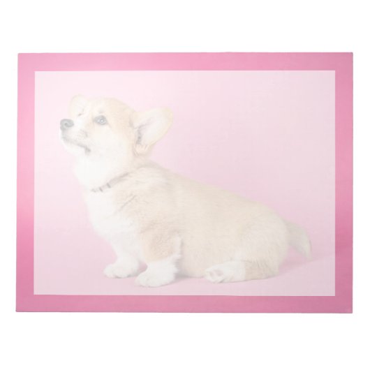 Niedliche Kleintiere | Pink Corgi Puppy Notizblock (Vorderseite)
