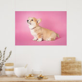 Niedliche Kleintiere | Pink Corgi Puppy Poster (Küche)