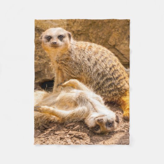 Niedliche Kleintiere | Playful Meerkats Fleecedecke (Vorderseite)