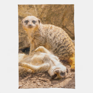 Niedliche Kleintiere   Playful Meerkats Geschirrtuch