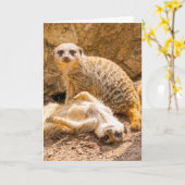Niedliche Kleintiere | Playful Meerkats Karte (Gelbe Blume)