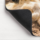 Niedliche Kleintiere | Playful Meerkats Mousepad (Ecke)