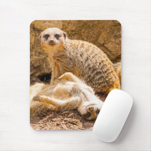 Niedliche Kleintiere | Playful Meerkats Mousepad (Mit Mouse)