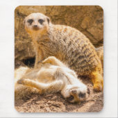 Niedliche Kleintiere | Playful Meerkats Mousepad (Vorne)