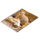 Niedliche Kleintiere | Playful Meerkats Notizblock (Linke Seite)