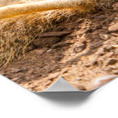 Niedliche Kleintiere | Playful Meerkats Poster (Ecke)