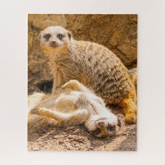 Niedliche Kleintiere | Playful Meerkats Puzzle (Vertikal)